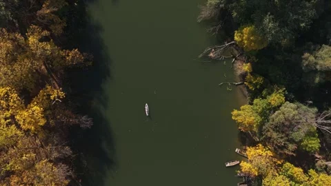 Overhead View of stand up paddle on River Between Sunlit Autumn Forests Video stock 348093231