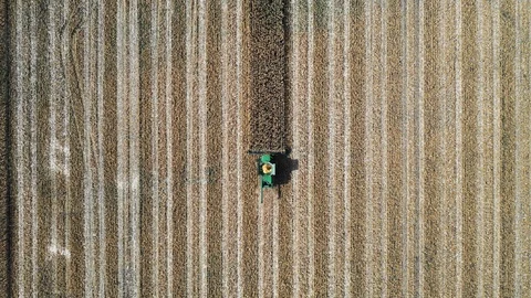 Overhead view of a tractor harvesting wheat Stockbeeldmateriaal 101000255