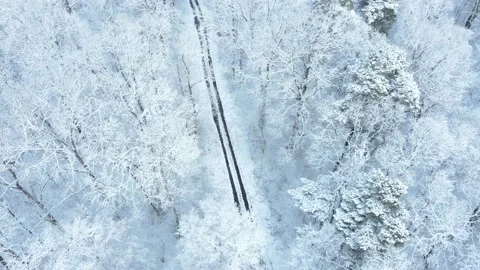 Overhead view of trail in winter forest Stock Footage 145354032