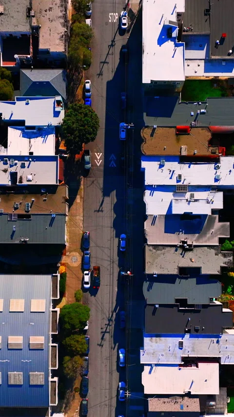 Overhead view of tree lined residential street, San Francisco, California Stock Footage 342274766