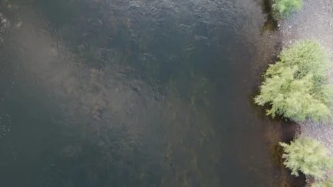Overhead View Of Two Paddle Boarders On The Salt River In Arizona Stock Footage 282616039
