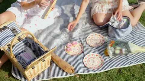 Overhead View Of Two Women Arranging Picnic Plates And Glasses Stock Footage 341549940