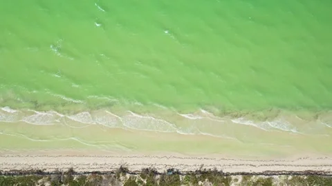 Overhead view of unusual green waves of Caribbean sea Видео 271615256