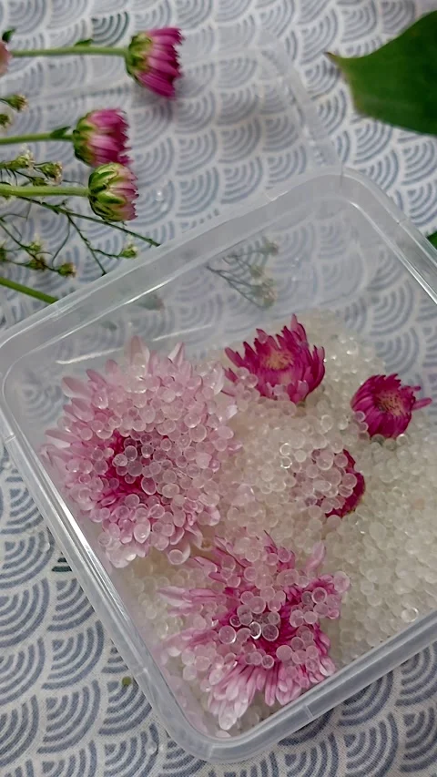 Overhead view of using a spoon to scoop silica gel beads and add it to fresh chr Stock Footage 317094961