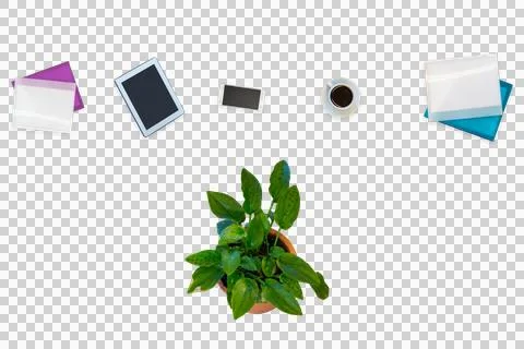 Overhead view of various objects by plant on desk Stock Photos