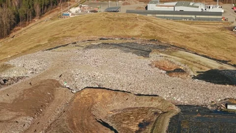 Overhead View of Waste Dump With Trash Heaps, Dirt Paths, and Forest Edge Stock Footage 305462293
