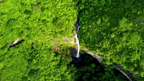 Overhead view on Waterfalls Stock Footage 241703636