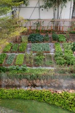 An overhead view of a well-organized backyard vegetable garden with raised .. Stock Photos