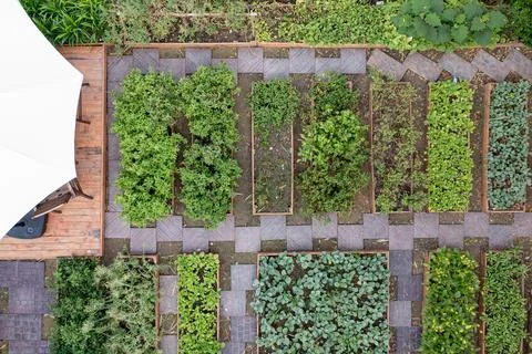 An overhead view of a well-organized backyard vegetable garden with raised .. Stock Photos