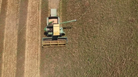 Overhead view of a wheat harvest Stock Footage 111545058