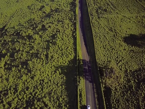 Overhead View Of A White Car Driving On An Empty Scenic Road And Lush Greenery Video stock 83959868