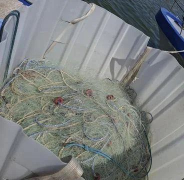 Overhead view of a white corrugated container filled with fishing equipment.. Stock Photos