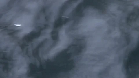 Overhead water waves oscillating fast 3 스톡 동영상 50415812