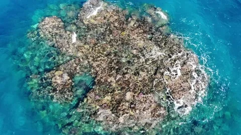 Overhead of waves breaking over coral reef. Stock Footage 195701038