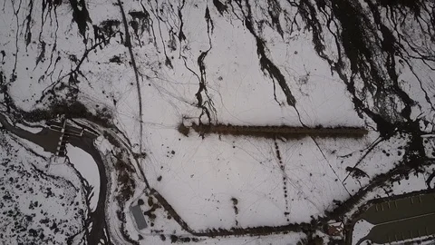 Overhead winter view at Andes mountains, trees in a row 動画素材 108360548