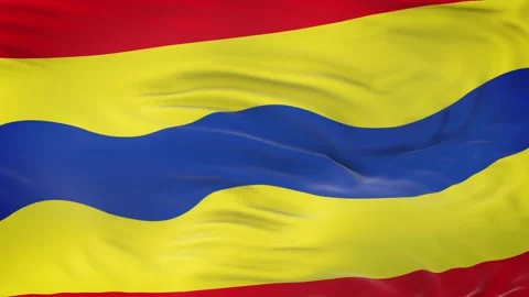 Overijssel flag waving in the wind with highly detailed fabric texture 動画素材 139380224