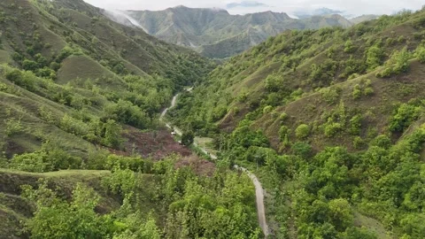 Overland Toraja Video stock 324425757