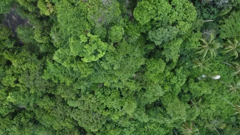 Overlap Stone on Koh Samui Stock-Footage 244899627