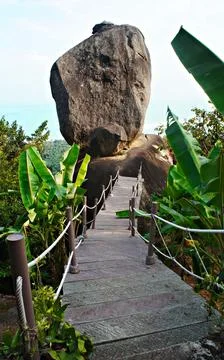 Overlap Stone, large stone and a wooden path to it among tropical vegetation Stock Photos