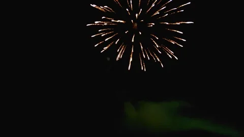Overlapping circle design firework in the night sky Stock Footage 318637154