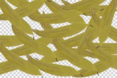 Overlapping dried bay leaves arranged in a dense pattern with abstract vert.. 库存照片