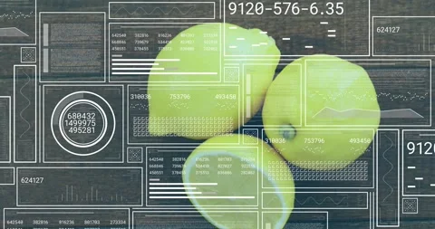Overlay appearing causing camera pullback, lemon cluster receding while panels Stock-Footage 328383975