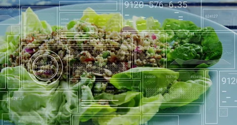 Overlay appearing scanning lettuce wrap salad on white plate rotating metrics Stock Footage 312904906