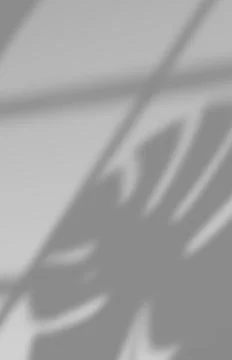Overlay backdrop with a window frame shadow Illustrazione stock