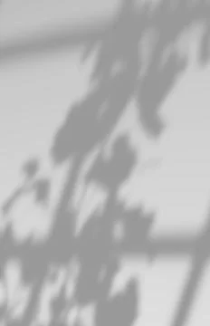Overlay backdrop with a window frame shadow Illustrazione stock