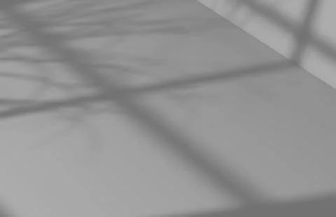 Overlay backdrop with a window frame shadow Illustrazione stock