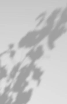 Overlay backdrop with a window frame shadow Illustrazione stock