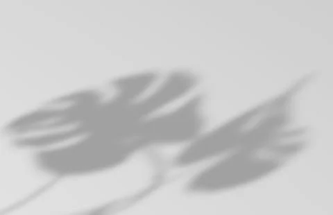 Overlay backdrop with a window frame shadow Illustrazione stock
