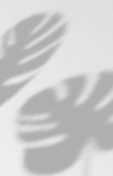 Overlay backdrop with a window frame shadow Stock Illustration