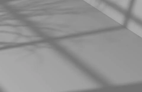 Overlay backdrop with a window frame shadow using as background  RECORD DA... Stock Photos