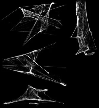 Overlay the cobweb effect. A collection of spider webs isolated on a black ba Stock Photos