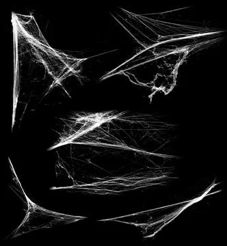 Overlay the cobweb effect. A collection of spider webs isolated on a black ba Stock Photos
