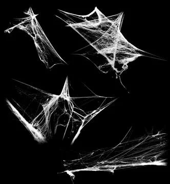 Overlay the cobweb effect. A collection of spider webs isolated on a black ba Stock Photos