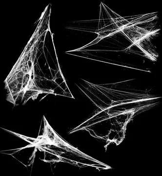 Overlay the cobweb effect. A collection of spider webs isolated on a black ba Stock Photos