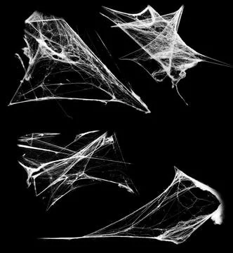 Overlay the cobweb effect. A collection of spider webs isolated on a black ba Stock Photos