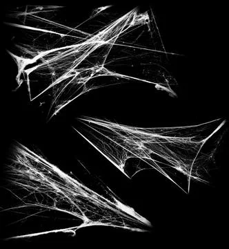 Overlay the cobweb effect. A collection of spider webs isolated on a black ba Stock Photos