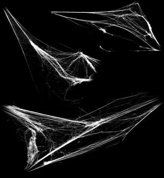 Overlay the cobweb effect. A collection of spider webs isolated on a black ba Stock Photos