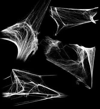 Overlay the cobweb effect. A collection of spider webs isolated on a black ba Stock Photos