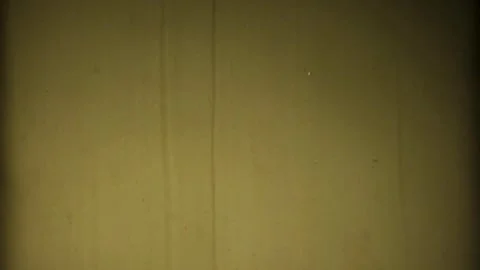 Overlay, effect, burning, flicker, cinematic, gradient, slow motion, cinematic Stock Footage 314985417