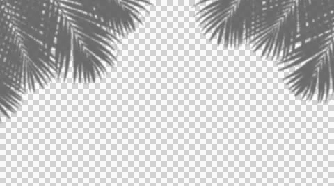 Overlay effect shadow of leaf realistic summer sunlight light effect Stock Illustration