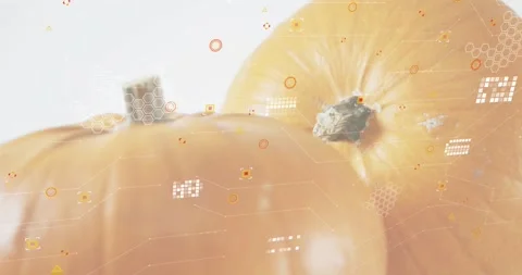 Overlay elements fading in, generating drifting lines across pumpkins, showing Stock Footage 317772192