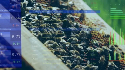 Overlay panel shifting and fading, bee swarm moving on comb while charts showing Stock Footage 333485702