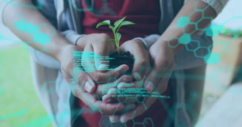 Overlay pulsing code fading and revealing family hands holding seedling on porch Stock Footage 313570772