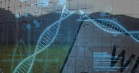 On overlay start helix and code graphics sliding across fence and occluding Stock Footage 321979113