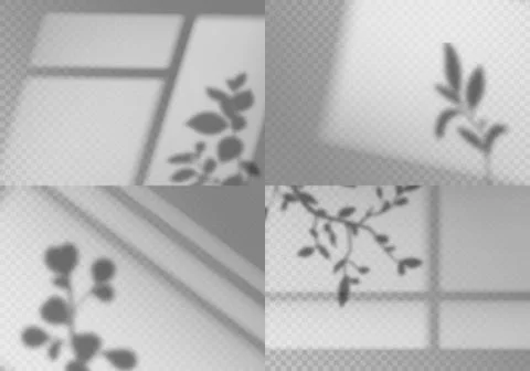 Overlay window shadows. Realistic leaves and window frames monochrome natural 스톡 일러스트