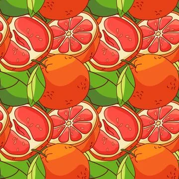 Overlayed grapefruit slices on transparent backdrop stock vector illustration Stock Illustration
